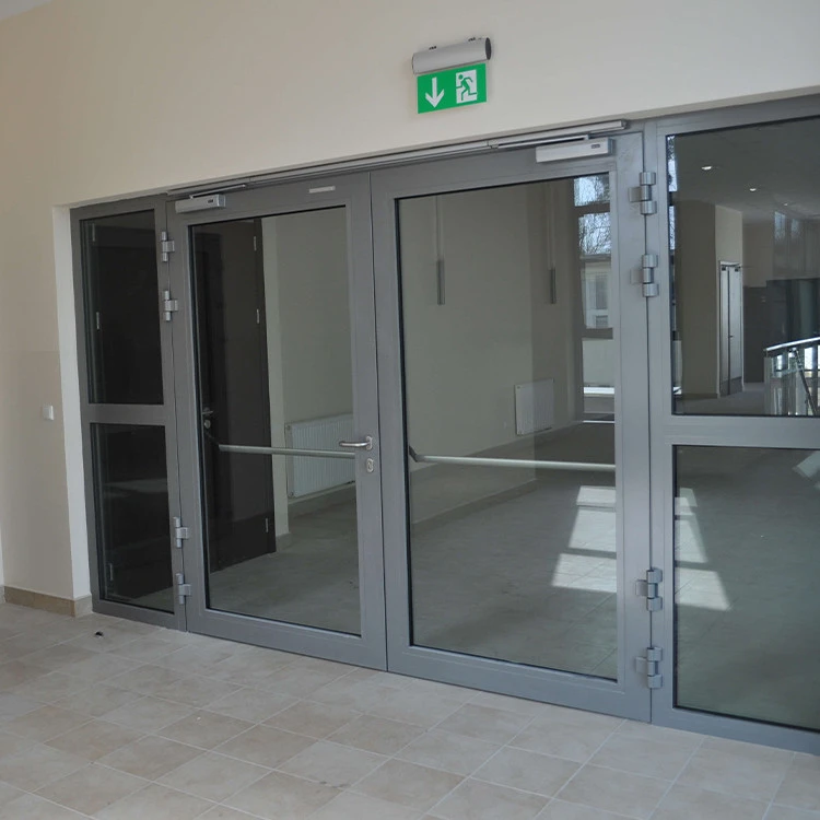 Drzwi Aluminiowe Przeciwpożarowe 100 x 200 cm Aluprof MB-78EI