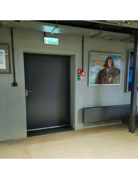 Drzwi EI120 Przeciwpożarowe ENDOR 110