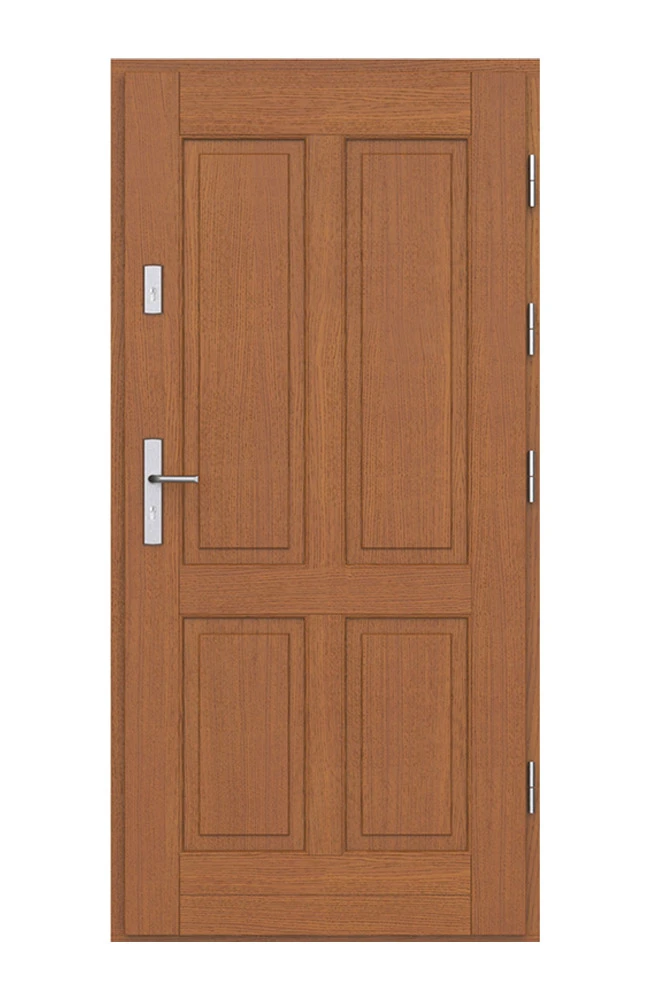 Doctus